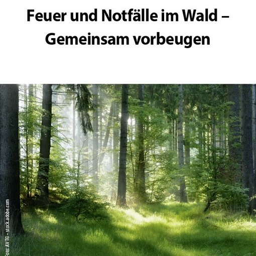 Faltblatt Wald und Wiese