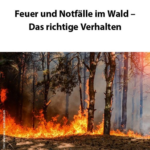 Faltblatt brennender Wald